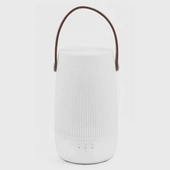 Alcyon Lantern