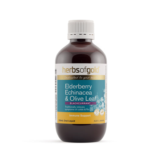 Herbs of Gold Elderberry Echinacea & Olive Leaf Blackcurrant – 200ml