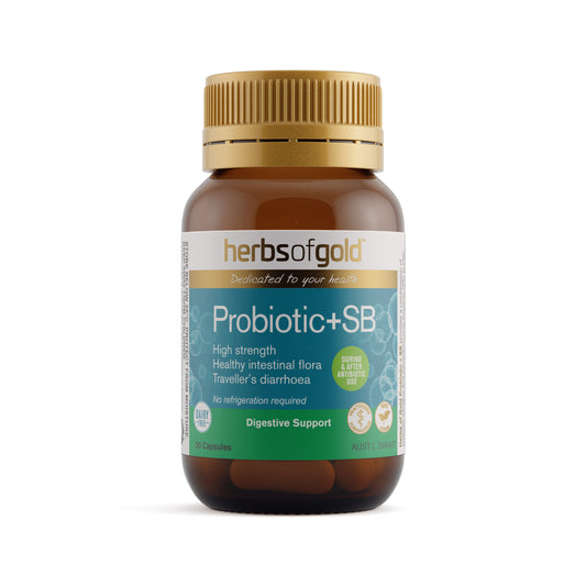 Herbs of Gold Probiotic + SB – 30 Vege Capsules