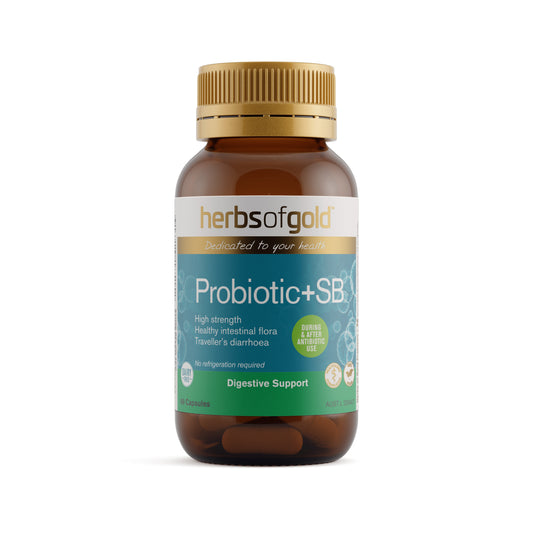 Herbs of Gold Probiotic + SB – 60 Vege Capsules