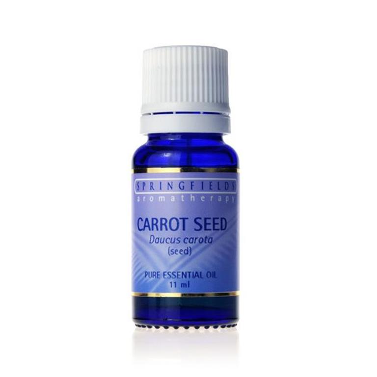 Springfields Carrot Seed Essential Oil – 11ml