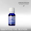 SPRINGFIELD LOVE 11ML