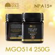 Nature's Gold MANUKA HONEY MG514 250G