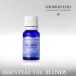 SPRINGFIELDS MY HOUSE 11ML