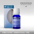 SPRINGFIELDS EUCALYPTUS CO 11ML