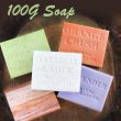 Pure Plant Soap 100g